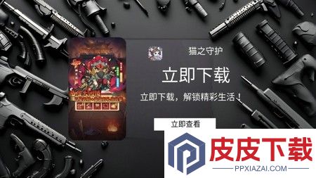 猫之守护最强阵容推荐