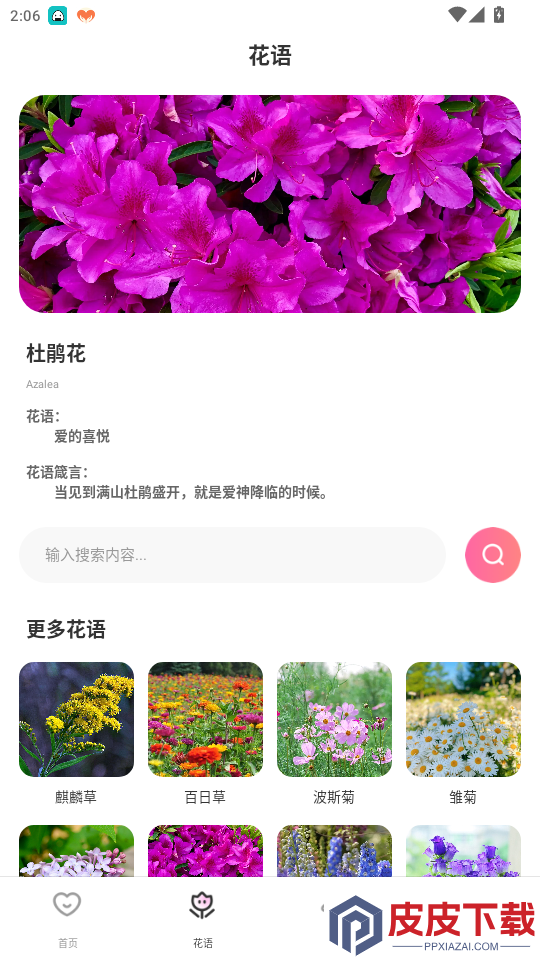 海鸥聊天app最新版下载