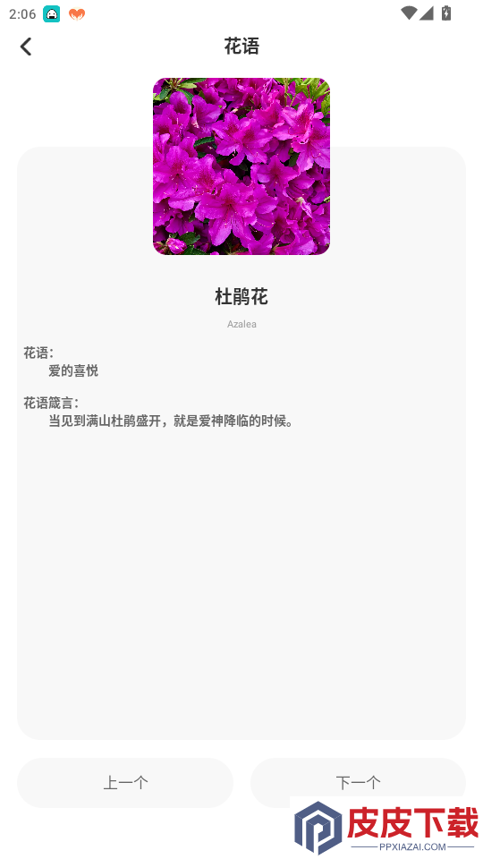 海鸥聊天app最新版下载