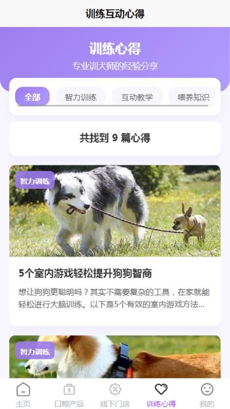 WONKA Online软件下载