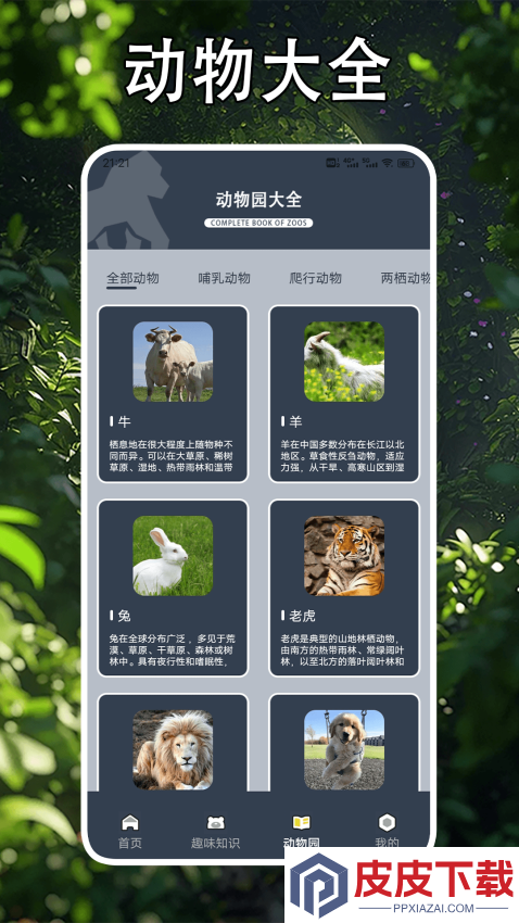 畸形动物园手机版免费版下载