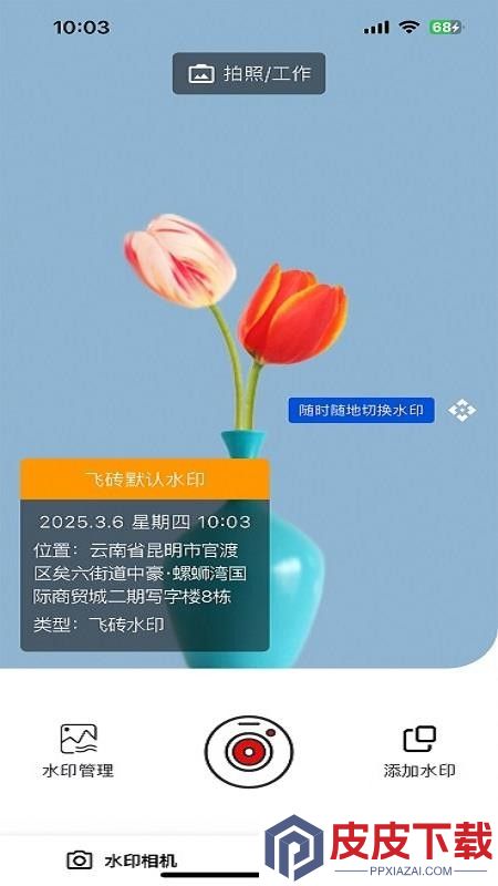 飞砖APP官网版下载