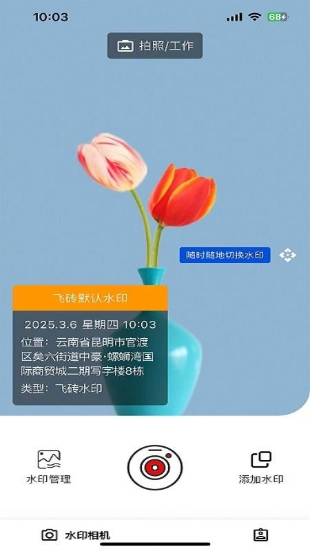 飞砖APP官网版下载