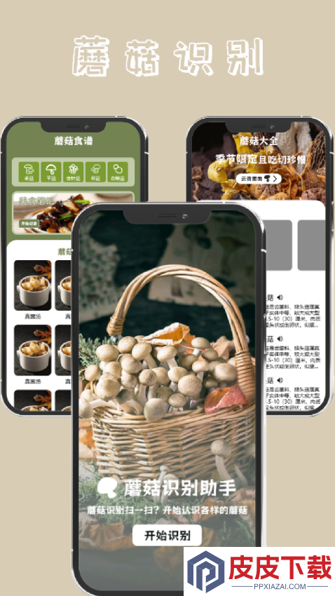 蘑菇识别app最新版下载