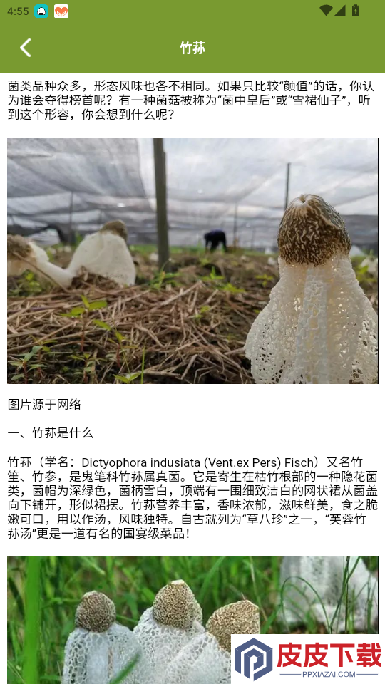 蘑菇识别app最新版下载