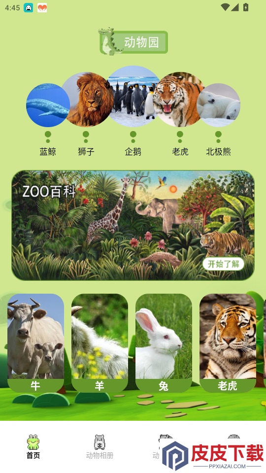 动物园之星手机版下载