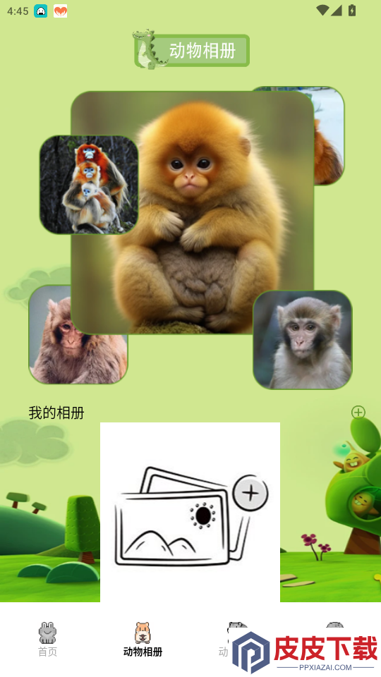 动物园之星手机版下载