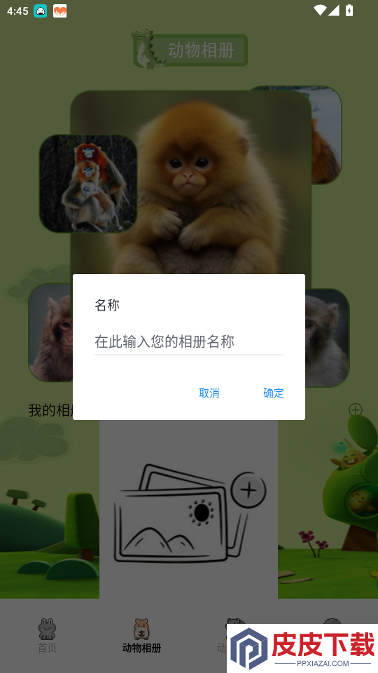 动物园之星手机版下载