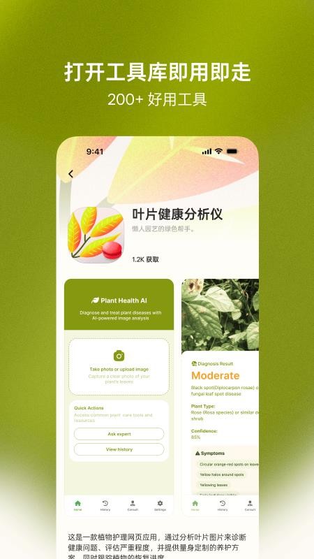 马卡龙app官方版下载