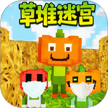 迷宫冒险达人游戏