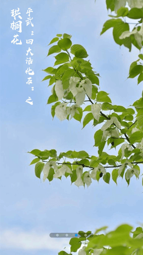 直播平武APP免费版下载