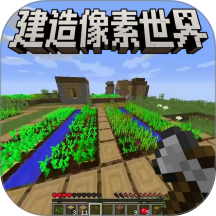 像素建造高手游戏