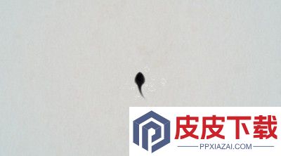 神龙召唤兑换码大全最新