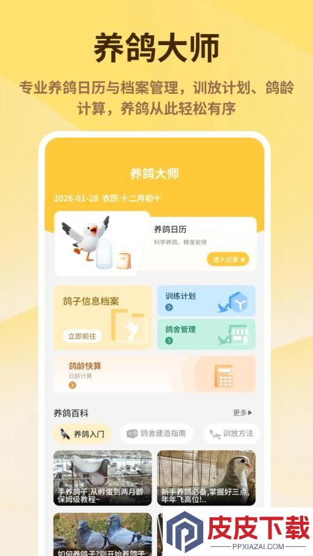 神奇的鸽子app下载安装