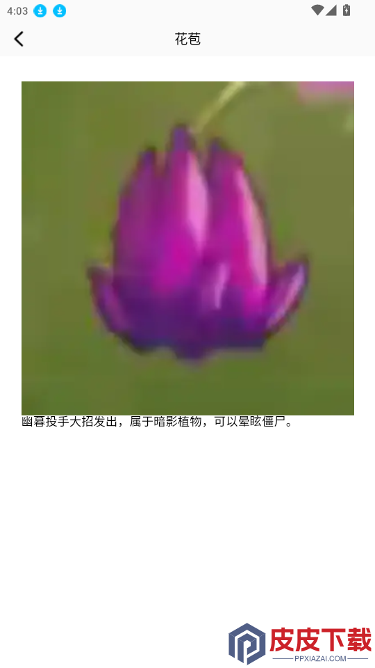 植物僵尸融合版app最新版下载