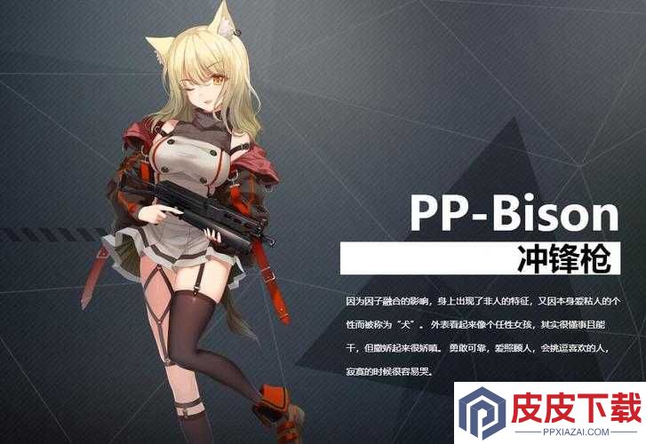 银翼计划PP