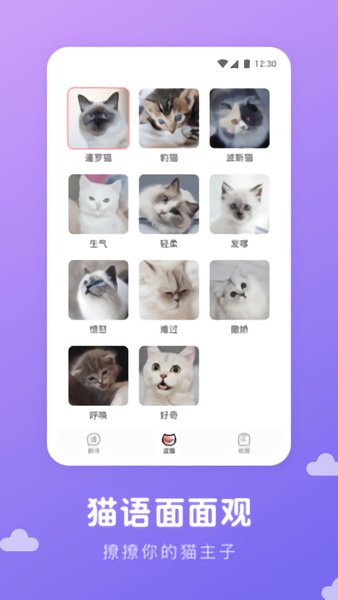 猫语翻译君软件破解版下载
