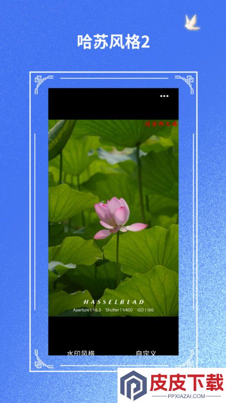 摄影师之眼app官方版下载