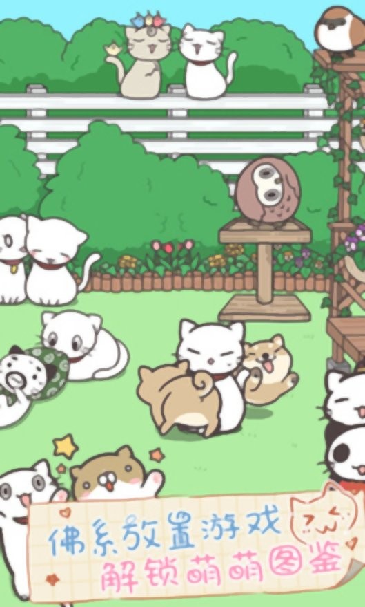 猫咪饲养日常游戏下载