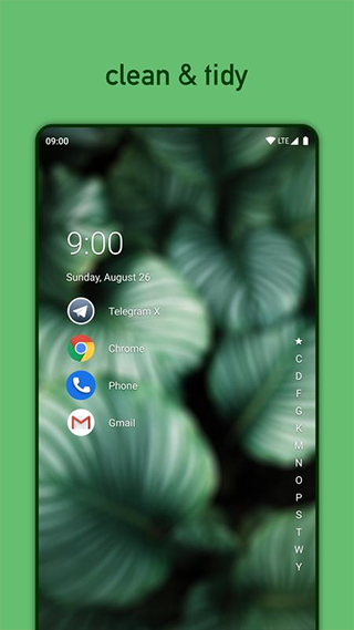 Niagara Launcher app破解版下载