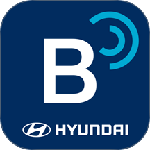 Bluelink官网版