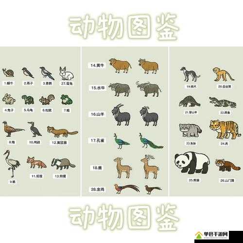江南百景图中野生动物该如何妥善安置？动物安置方法全揭秘