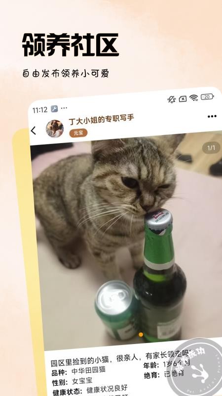 拟人星球app官方版下载