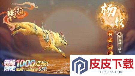 天天酷飞伙伴搭配攻略