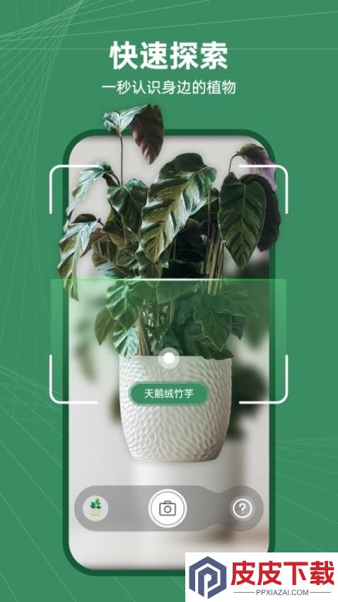 花草志app破解版下载