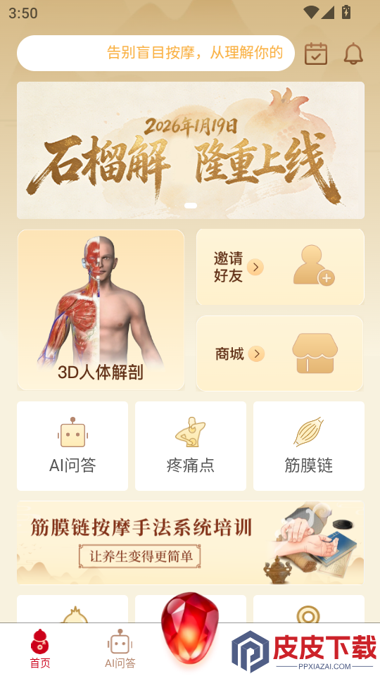 石榴解app下载