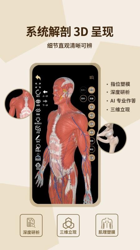 石榴解app下载