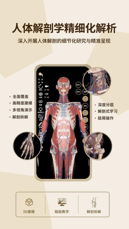 石榴解app下载