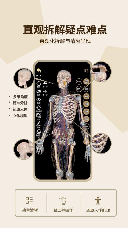 石榴解app下载