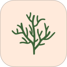 年轮3计划app
