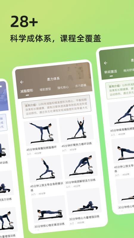 roulistic flex软件下载