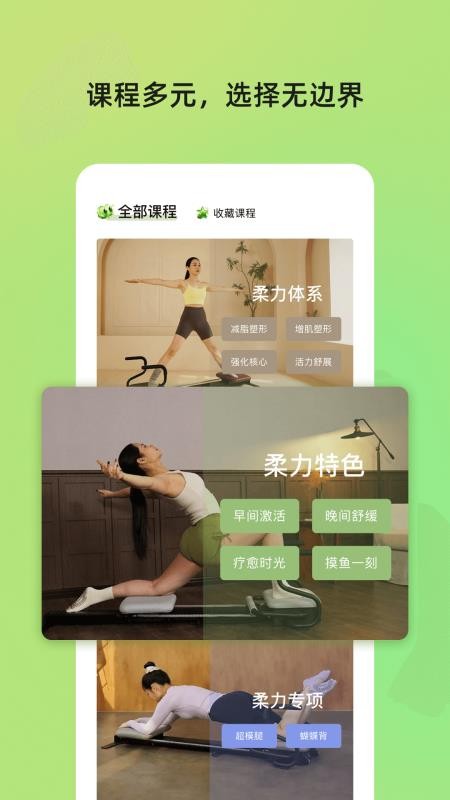 roulistic flex软件下载