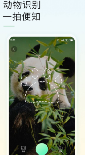 智能拍照识物app安卓版下载