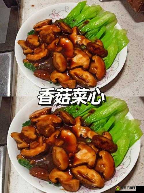 天谕手游香菇菜心任务如何抉择？攻略揭秘及后续玩法大猜想