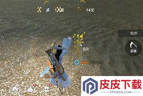 妄想山海枇华草究竟分布何处