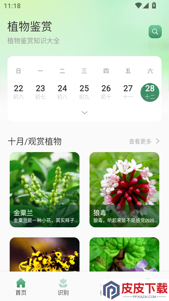 花花乐园助手APP下载
