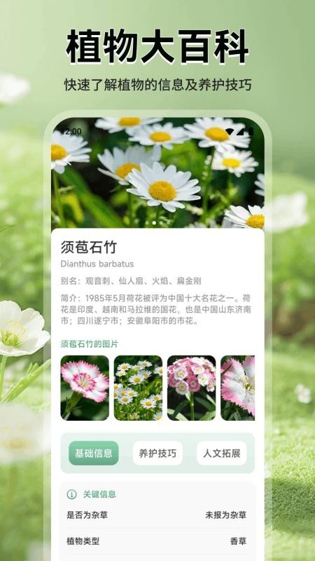 花花乐园助手APP下载