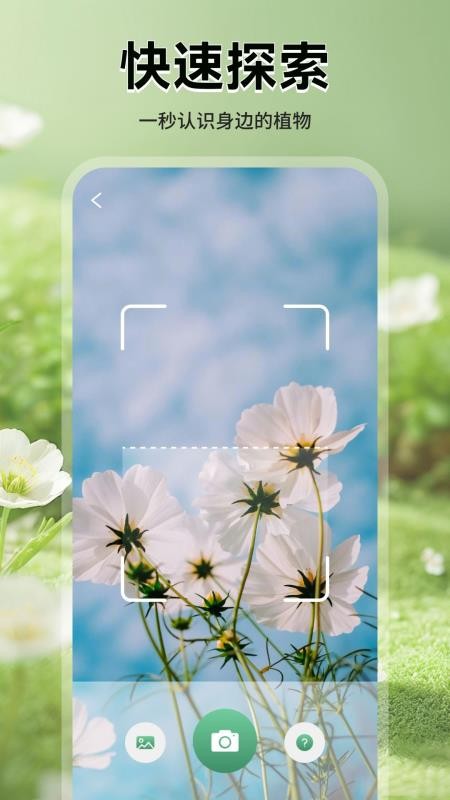 花花乐园助手APP下载