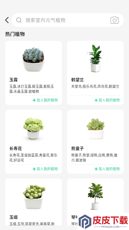 元初草木app下载