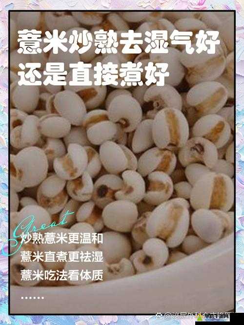 江南百景图薏米究竟如何获取？全面揭秘薏米获取方法！