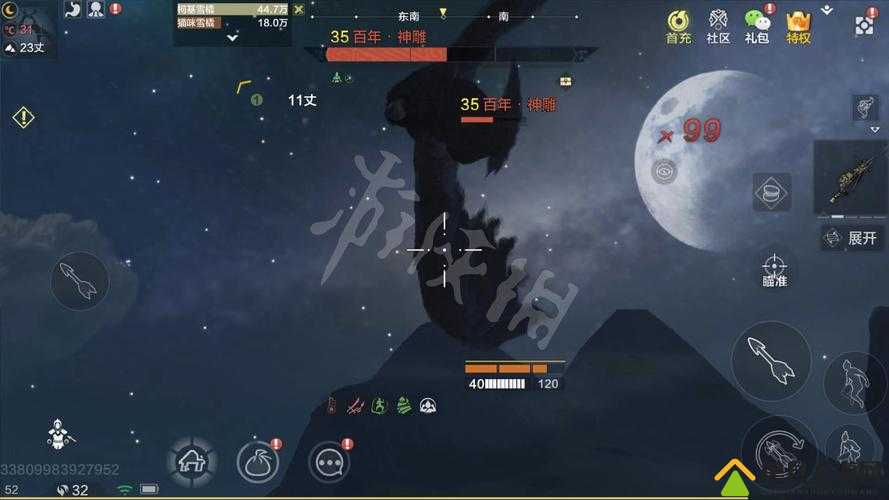 妄想山海中如何成功捕捉神秘神雕？全面解析神雕捕捉攻略！