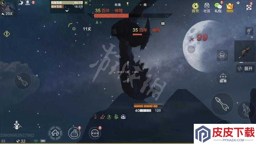 妄想山海中如何成功捕捉神秘神雕