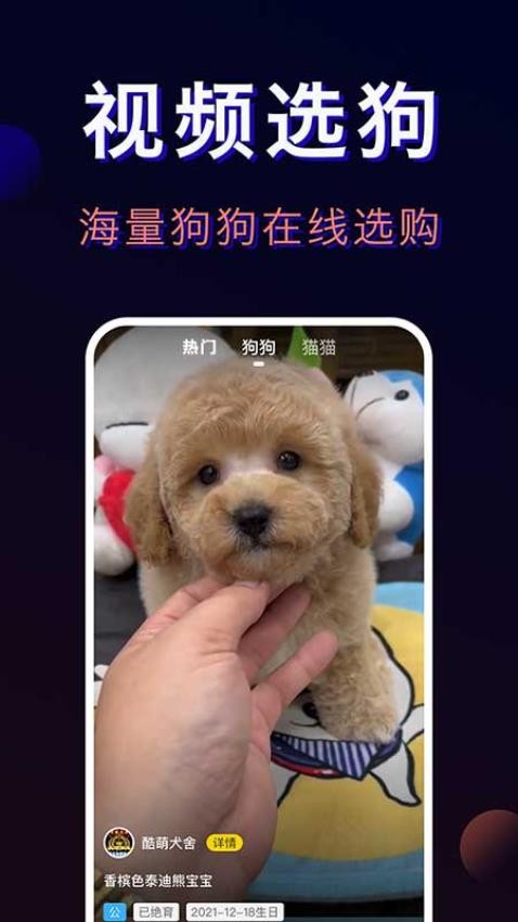 宠物宝-一站式宠物服务平台app免费版下载