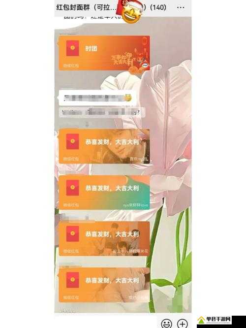成语红包群第110关如何巧妙解锁？智慧之门后的攻略秘籍何在？