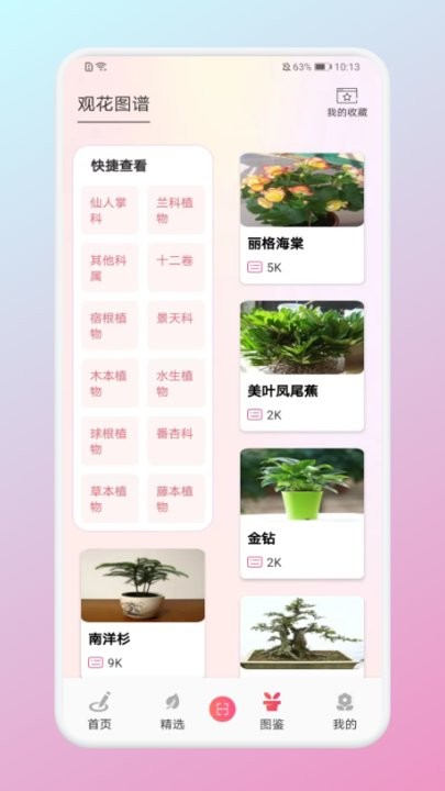 养花大掌柜app官方版下载