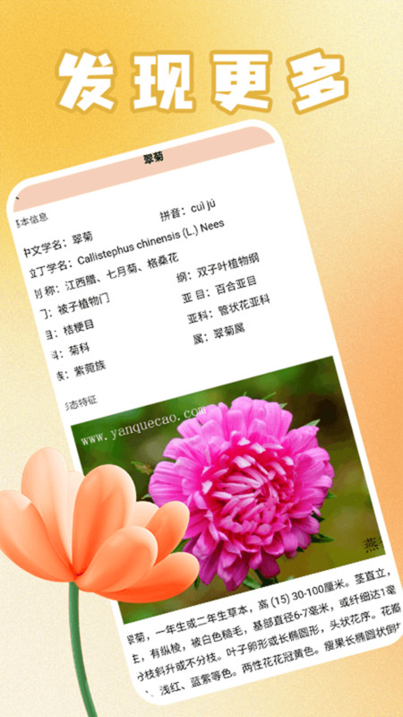 花满人间花语安卓版免费版下载